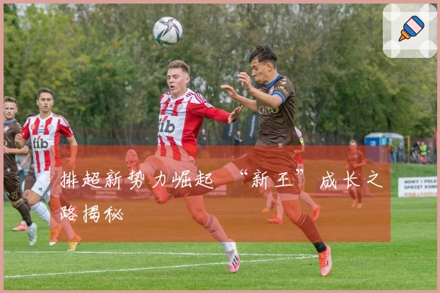 排超新势力崛起  “新王”成长之路揭秘