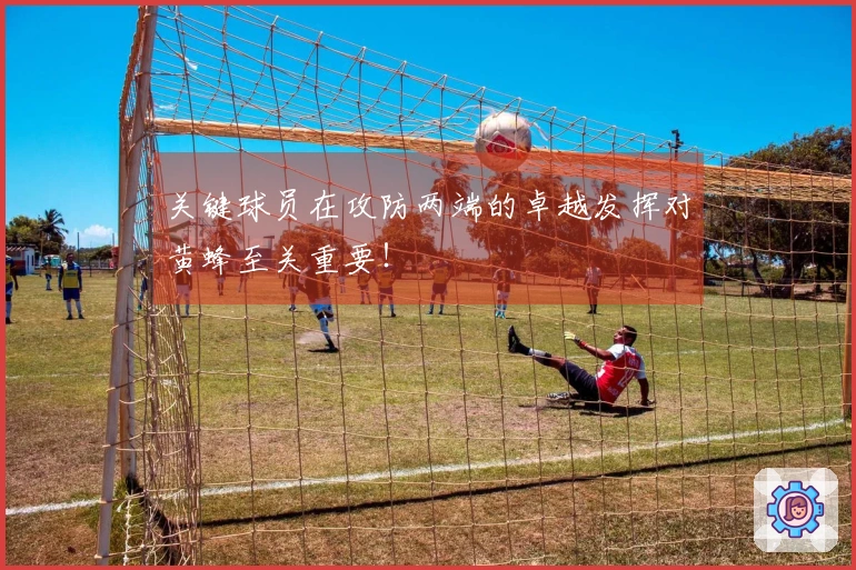 关键球员在攻防两端的卓越发挥对黄蜂至关重要！