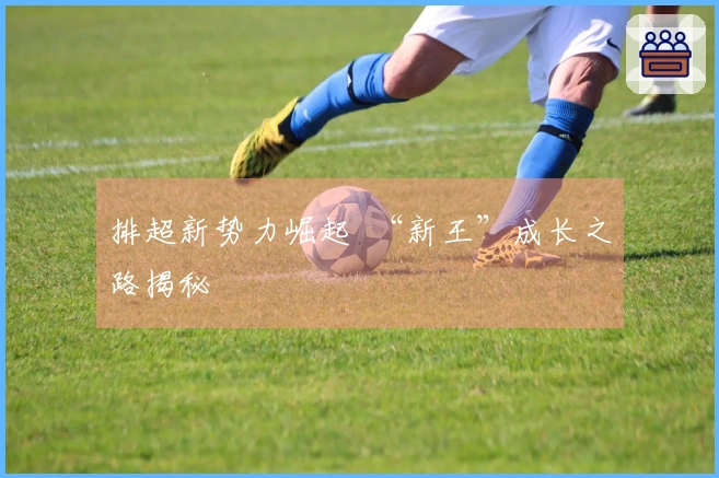 排超新势力崛起  “新王”成长之路揭秘